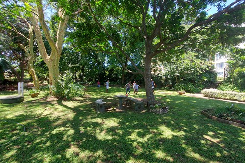 Children can play soccer now that the garden has been cleared