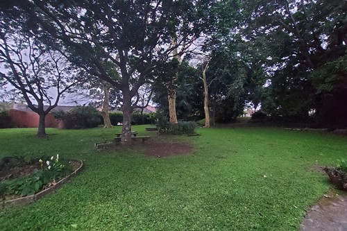 garden 1