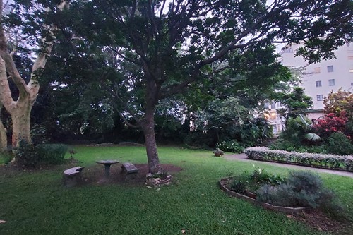 garden 2