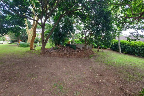 Garden cleaned up nicely