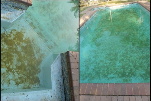 State of the Pool before residents took action